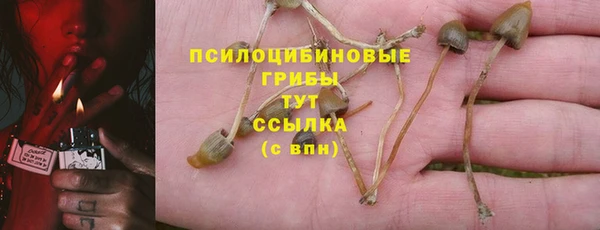 спайс Зерноград