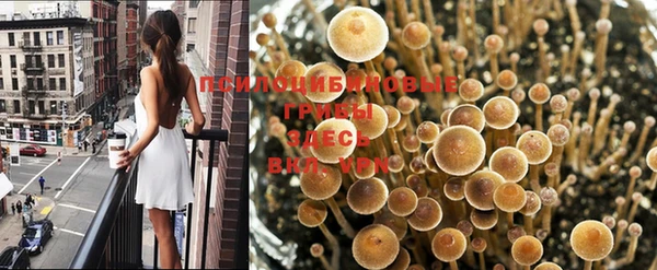 спайс Зеленокумск